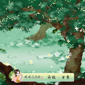 国产女人bt视频
