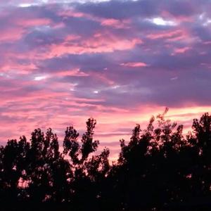 国产女人bt视频
