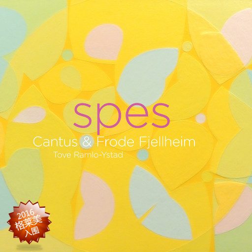 国产女人bt视频
